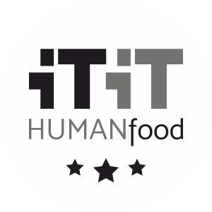 ITIT logo white back